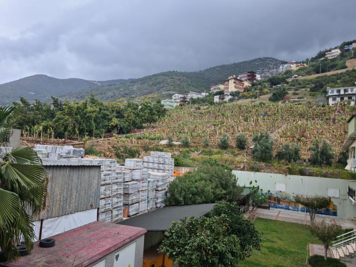 Apartamento Kleopatra Sultan Rezidans Alanya Exterior foto